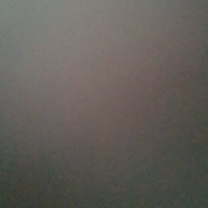 Meet your Posher, Darrell